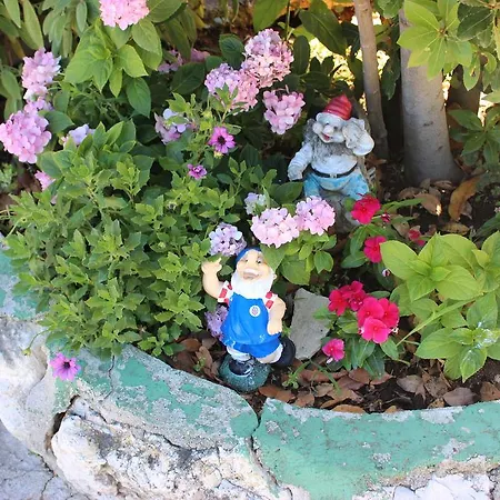 Guest house Apartmani Kardum Brodarica *
