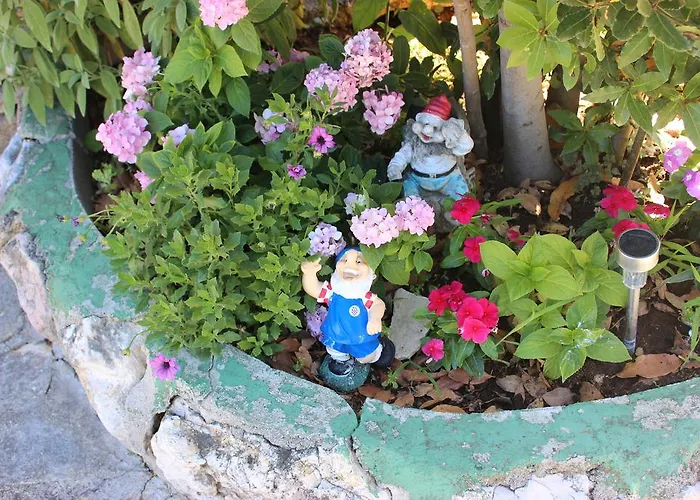 Guest house Apartmani Kardum Brodarica 3*